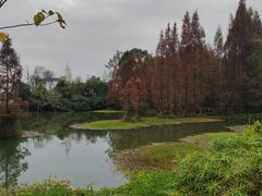 -桤木河湿地公园