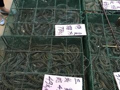 -荔城生鲜盛宴(番禺旗舰店)