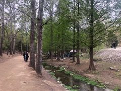 -白水寺森林公园