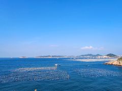 -枸杞岛