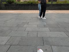 -爱雍·乌节