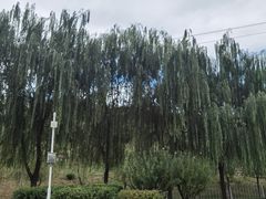 -白鹿原影视城