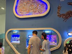 -芜湖新华联大白鲸海洋公园