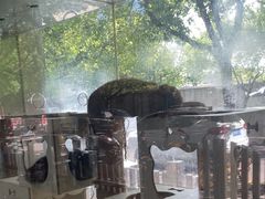 -暖阳宠物医院·犬猫康复中心·骨科