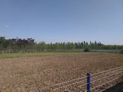 -西青郊野公园
