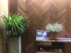 -娇玫荟SPA