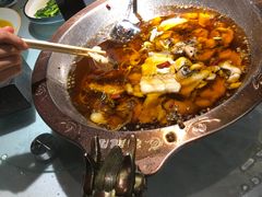 -雲蜀龙阁·金牌水煮鱼(方庄店)