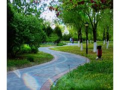 -永定河休闲森林公园