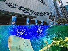 -上海海洋水族馆