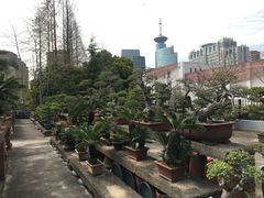 -宋庆龄陵园
