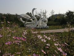 -东郊湿地公园