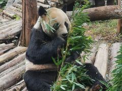 -南昌动物园