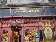 -布兰兔的植物庄园(杭州南宋御街店)