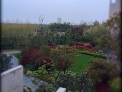 -上海崇明金茂凯悦酒店