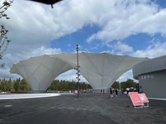 -东平国家森林公园