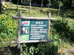 -北京麋鹿生态实验中心