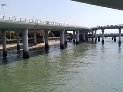 -演武大桥观景平台