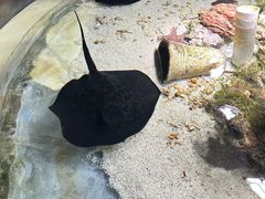 -嘉兴海底世界