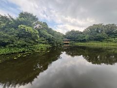 -济州森林小火车生态公园