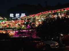 -枇杷园食为鲜火锅(南山店)