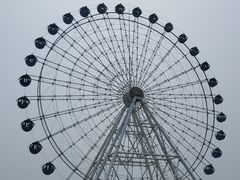 -秦皇岛乐岛海洋王国