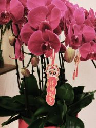 -Dr.林醫生产后修复·超级店(南京江宁同曦店)