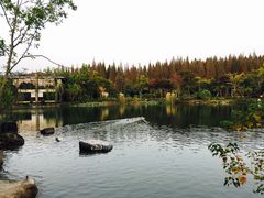 -上海怡沁园度假酒店