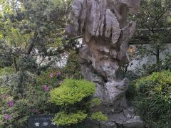 -汇龙潭