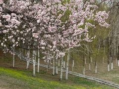 -长春世界雕塑园冰雪艺术天地