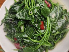 炝炒苕尖-九九牛肉馆(南山路店)