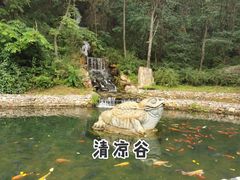 景点-大连天门山国家森林公园