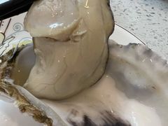 -冯姐生蚝(长隆横琴店)