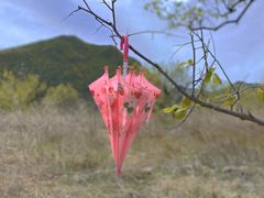 -碓臼峪自然风景区