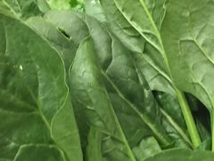 -古乐牛香·鲜牛肉牛杂火锅(新区店)