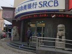 -上海农商银行(马桥支行)