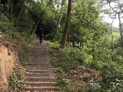 -金鸡山公园