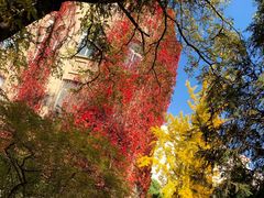 -辽宁大学(崇山校区)