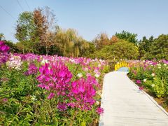 -广东花都香草世界旅游度假区
