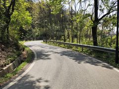 -青龙山国家森林公园