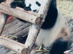 -大连森林动物园