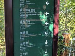 -北京凤凰岭
