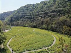 -临平公园(临平街道)