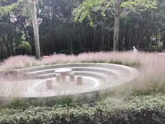 -苏州河梦清园环保主题公园