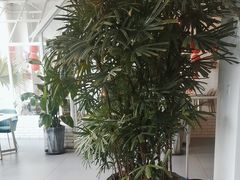 -ins森林童话餐厅coffee&bistro