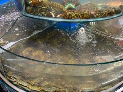 -四海蒸鲜蒸汽海鲜自助(北戴河店)