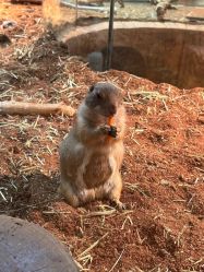 -Zoolung Zoolung动物主题公园(海信广场店)