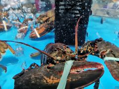 -麦德龙(郑东店)