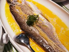 -桂满陇·海市蜃楼·黑金(国金店)