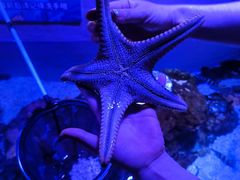 -成都浩海立方海洋公园