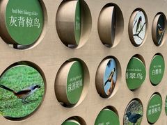 -东莞植物园
